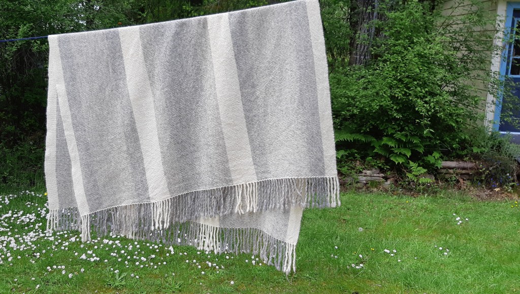 Woven blanket with vertical stripes of cream, grey, and oatmeal, hanging on a clothesline over a grassy area with English daisies. To the right is a peek of a blue door on a white cottage. 